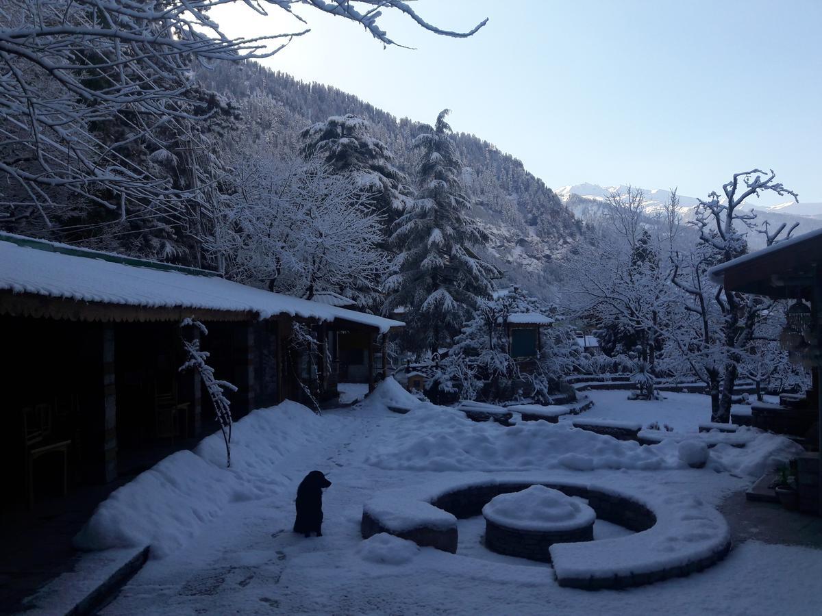 Johnson Lodge & Spa Manali  Ngoại thất bức ảnh